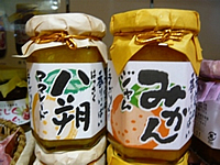 いきいき館